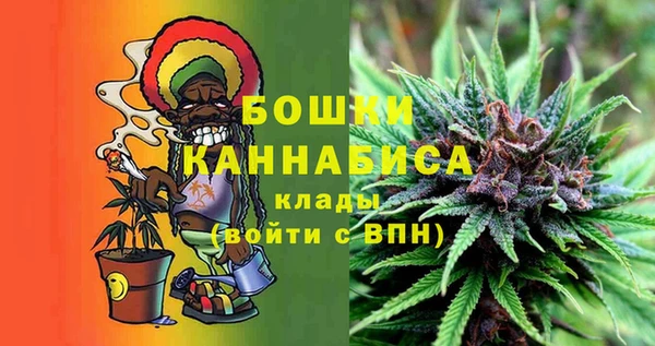 соль ск Верхний Тагил